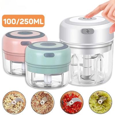 100ml/250ml/Set Mini Elettrico Schiaccia Aglio Chopper Wireless Portatile Chopper di Carne Condimento e Spezie Tritatutto per Aglio Vege Insalata Pepe