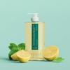 [DR.SEED] Peppermint & Lemon Vegan Dandruff Care Cool Anti-Hair Loss Shampoo Large Capacity 1L