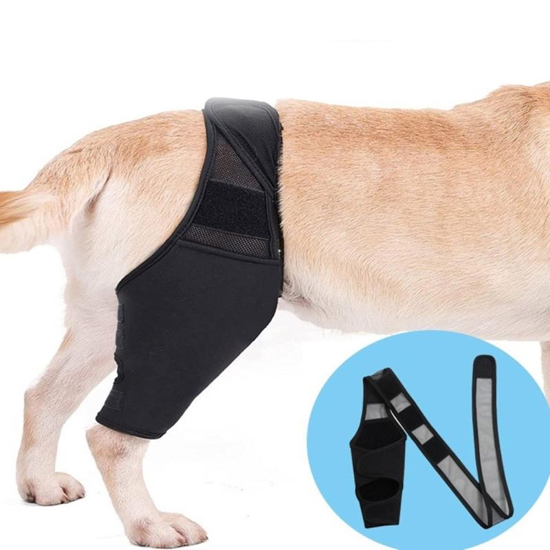 Safety Pet Dogs Waterproof Thigh Cover for Dogs to Prevent Injuries Crafted from Soft Material for Various Activity