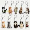 Funny Cat Key Chain Keychains Ring for Accessories Bag Pendant Keyring Jewelry Cute Animal Pet Llaveros Friends Gifts Cool Cats