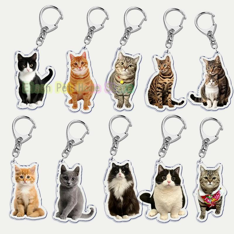 Funny Cat Key Chain Keychains Ring for Accessories Bag Pendant Keyring Jewelry Cute Animal Pet Llaveros Friends Gifts Cool Cats