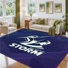 Melbourne Storm Design Crystal Velvet Rug Soft Decorative Mat for Bedroom Entrance