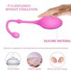 Silicone Kegel Balls Kegel Exerciser Vaginal Weights Pelvic Floor Ben Wa Balls