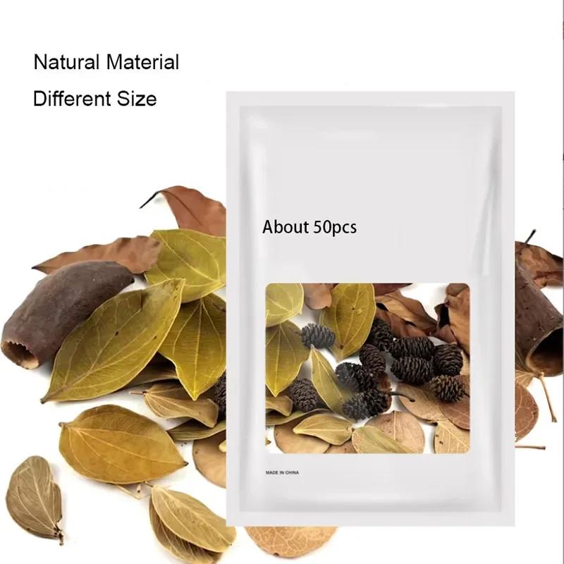 

About 50pcs Natural Leaf Aquarium Filter Terminalia Catappa Foetida Leaves Island Almond Leaf Fish Cleaning Treatment about 12cm