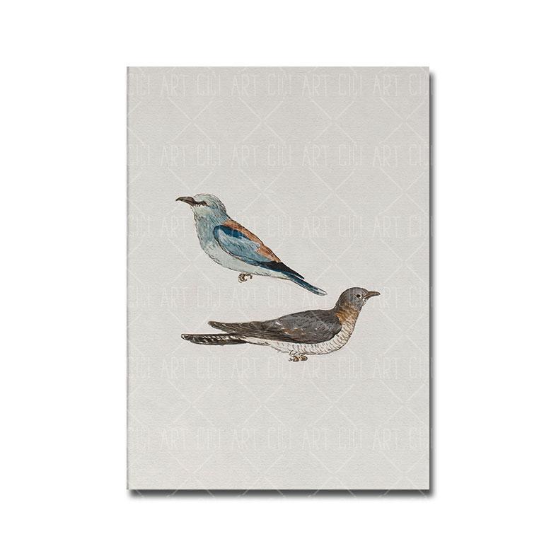 

Винтажный нейтральный пейзажный постер с ботанической птицей, художественный принт, цветочный эскиз, холст, картина маслом, настенная картина для гостиной, домашний декор 30x40cm No Framed