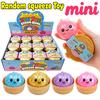 Vendita calda! Scatola Mini Raviolo Pallina Antistress Con Vaporella Colorato Panino Morbido Giocattolo Sensoriale Per Sollievo dall'Ansia Spremere