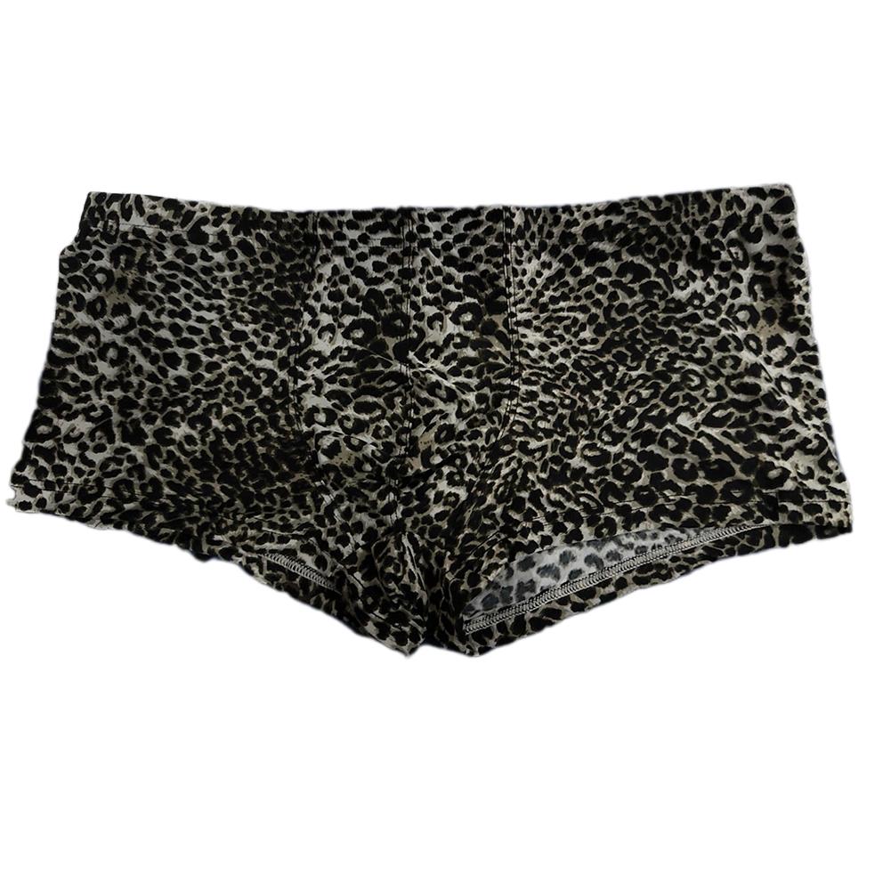 Mesh Briefs Sheer See-Through T-back Thong Underpants