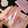 2025 Cash Saving Album A6: Large Capacity Money Storage & Banknote Organizer