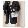 Niche Design Small Bag Female Tide Net Red Fashion Shoulder Crossbody Handbag Women's Bag