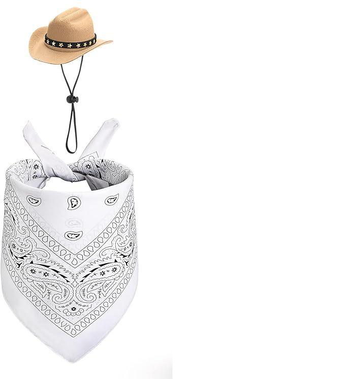 Porch Pet White Goose Mexican Hat Scarf Set Decoration Big White Goose Colorful Hairball Straw Hat Stripe