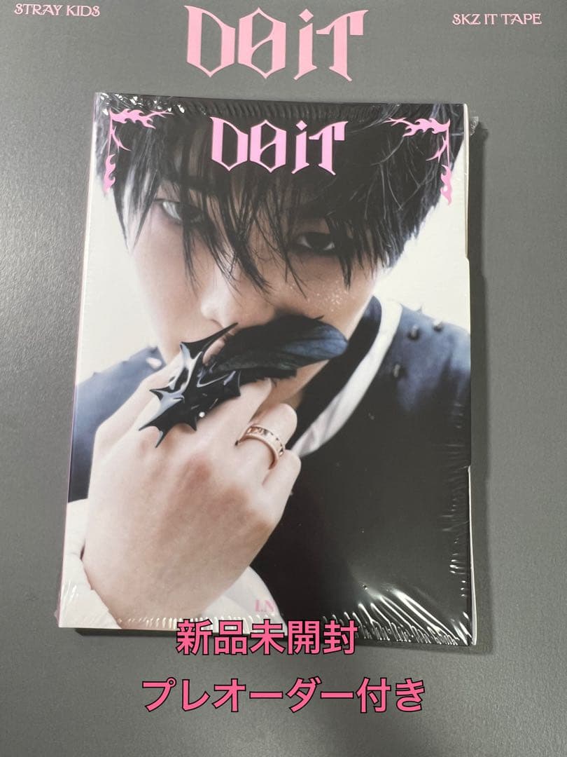 

[USED] Stray Kids Do It Accordion ver. AIN