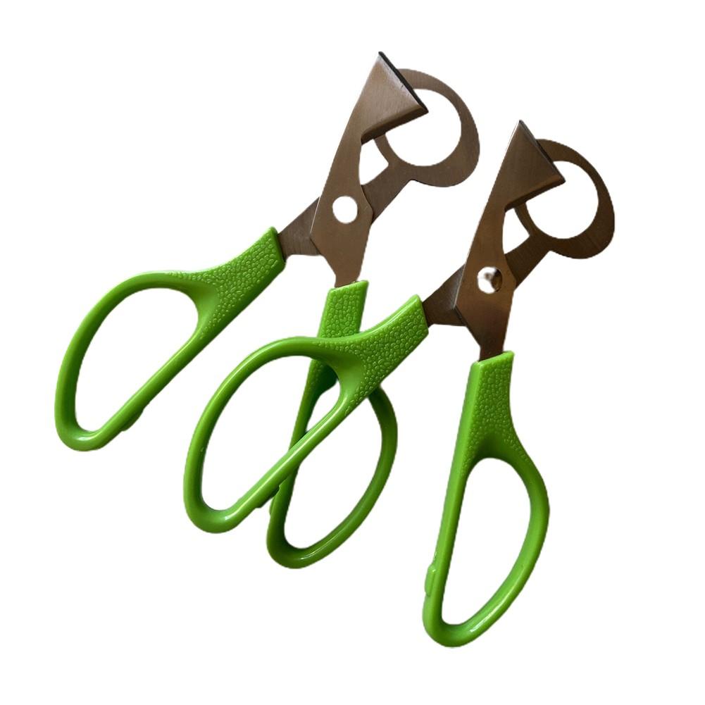 Quail Egg Scissors Quick Stainless Steel 14cm Easy