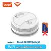 Tuya Smart WiFi Smoke Detector with Mobile Alerts
