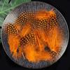 50pcs Small Size Natural Feathers Spotted Pattern Real Plumes Spotted Feathers Multicolo Natural Color Fake Eyelashes DIY