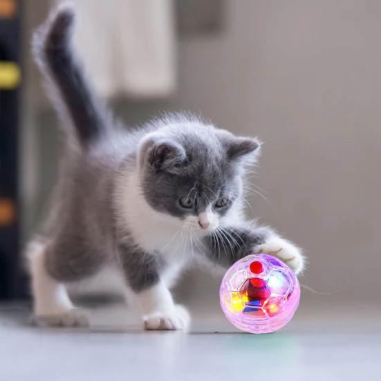 Giocattolo a Palla per Animali Trasparente Interattivo Plastica Gatto Cani Cane Animale Attività