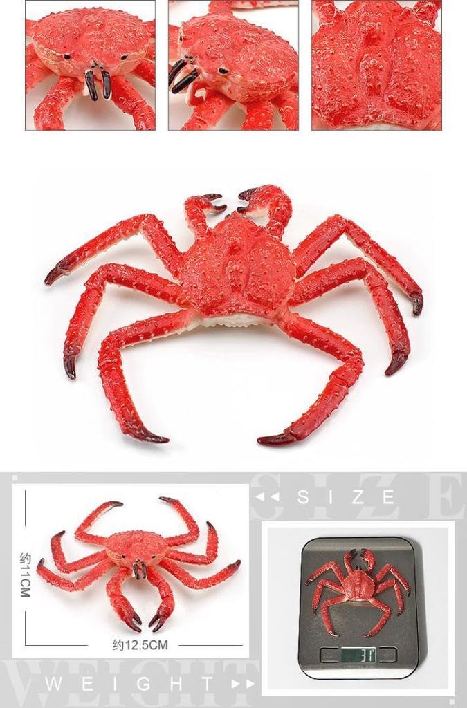 Nekogamiyama King Crab & Spider Crab Set of 2 Sea Creatures, Crustaceans, Crab, Fish Figurines, Models, Miniatures, Ornaments, Decorative Ornaments,