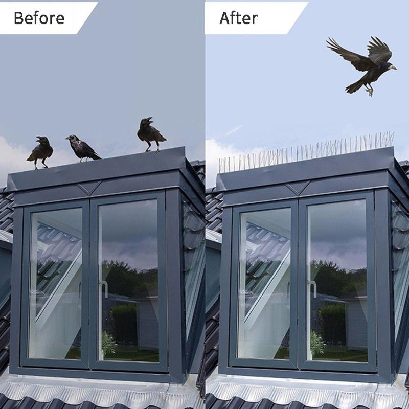 Defender Birds Spikes Fence Wall Anti-Bird Pigeon Protector Repeller Deterrent