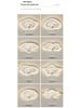 360° Rotatable Silent Minimalist Ceiling Light with Fan for Bedroom and Study