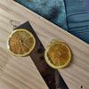 Kiwi Fruit Slice Plant Earrings for Women Epoxy Resin Handmade Dangle Jewelry for Spring and Summer Parties