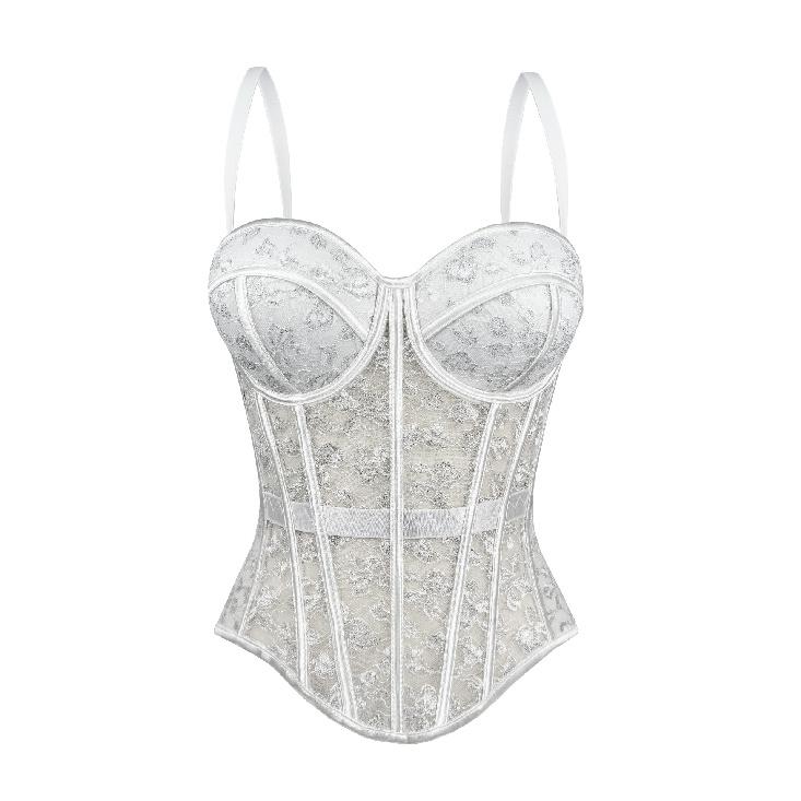 Corsets, roupas femininas elegantes e da moda
