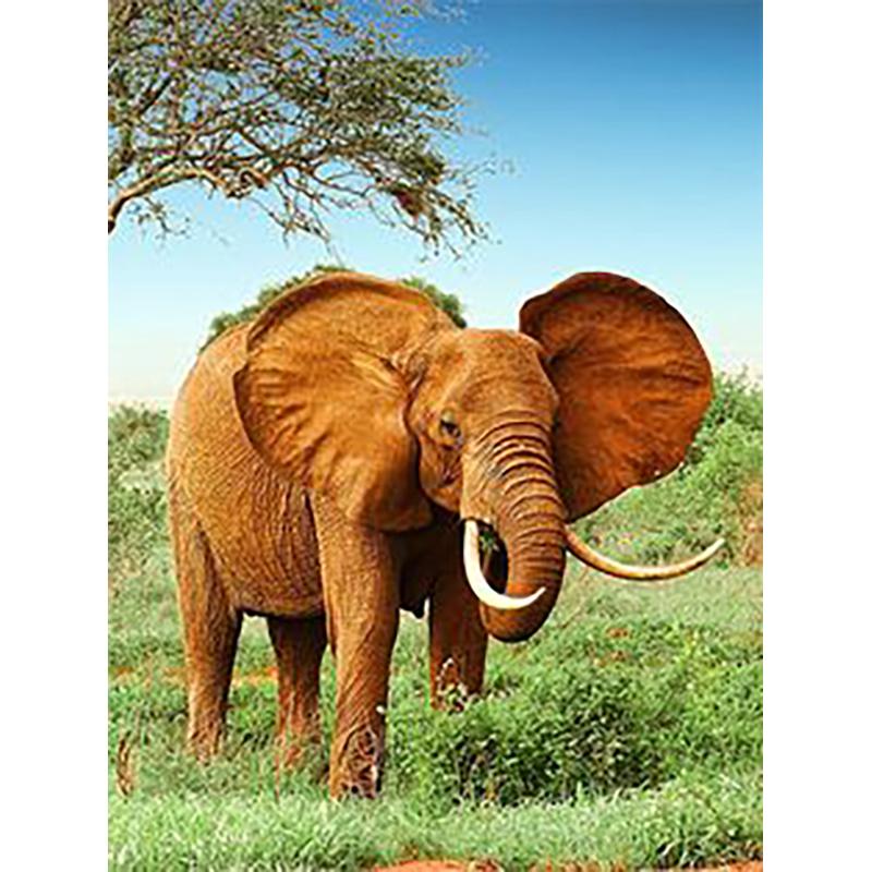 Diy Elephant 5D Diamond Painting Full Round Drill Mosaic Animals Diamond Embroidery Cross Stitch Kits Home Decor Wall Art Gift