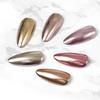Rich Gold Titanium & Silver Mirror Powder: Rose Gold & Champagne Electroplated Solid Powder for Nail Art