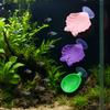 Peixes e animais aquáticos – Decoração de aquário