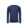 Polo Logo Embroidered Crew Neck Long Sleeve T-Shirt Men Tops Navy 710760121-003