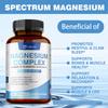 Magnesium Complex Supplement, Containing Magnesium Citrate and Magnesium Malate, Is Beneficial for Bone and Muscle Health.