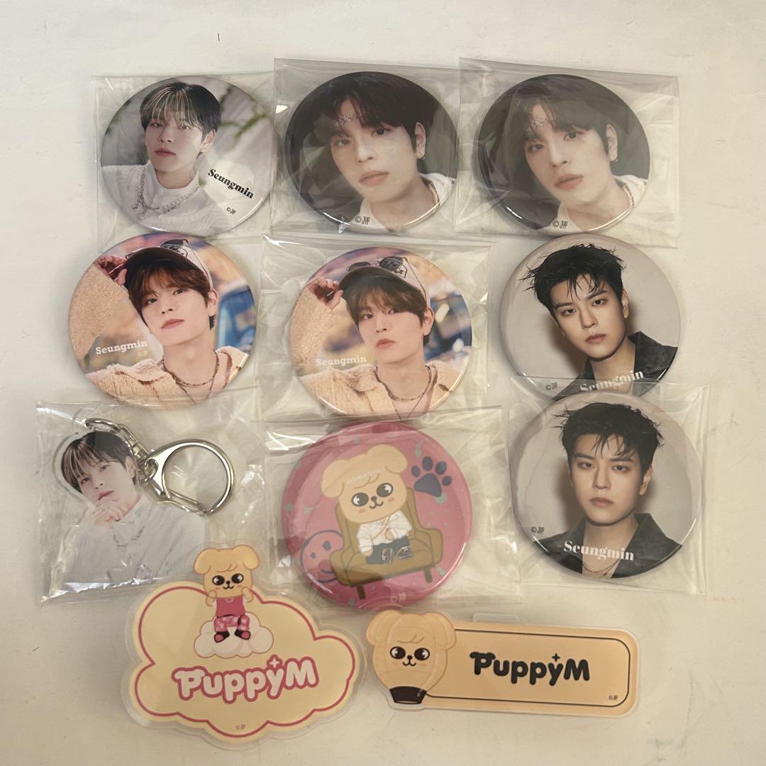 

[Б/У] Stray Kids Сынмин Значок-канбадж Именная табличка