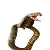 Bracelet, Novelty Simulation Animal Model Wristband, Scary Toys, Adults Teens Plaything for Party