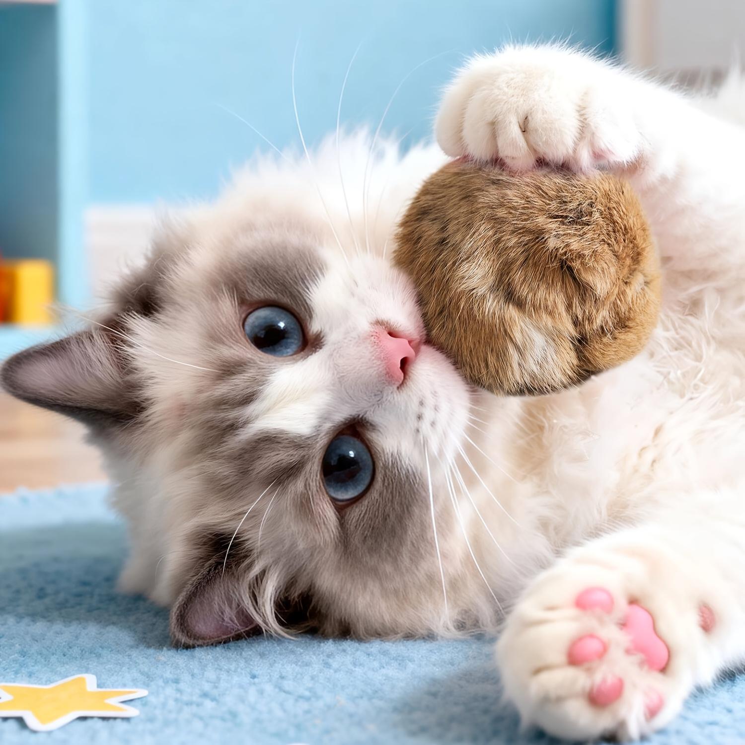 

3pcs Fur Ball Rich Toys for Puppies and Kittens Self-pleasure and Boredom Relief Artifact 3pcs дубильная кора