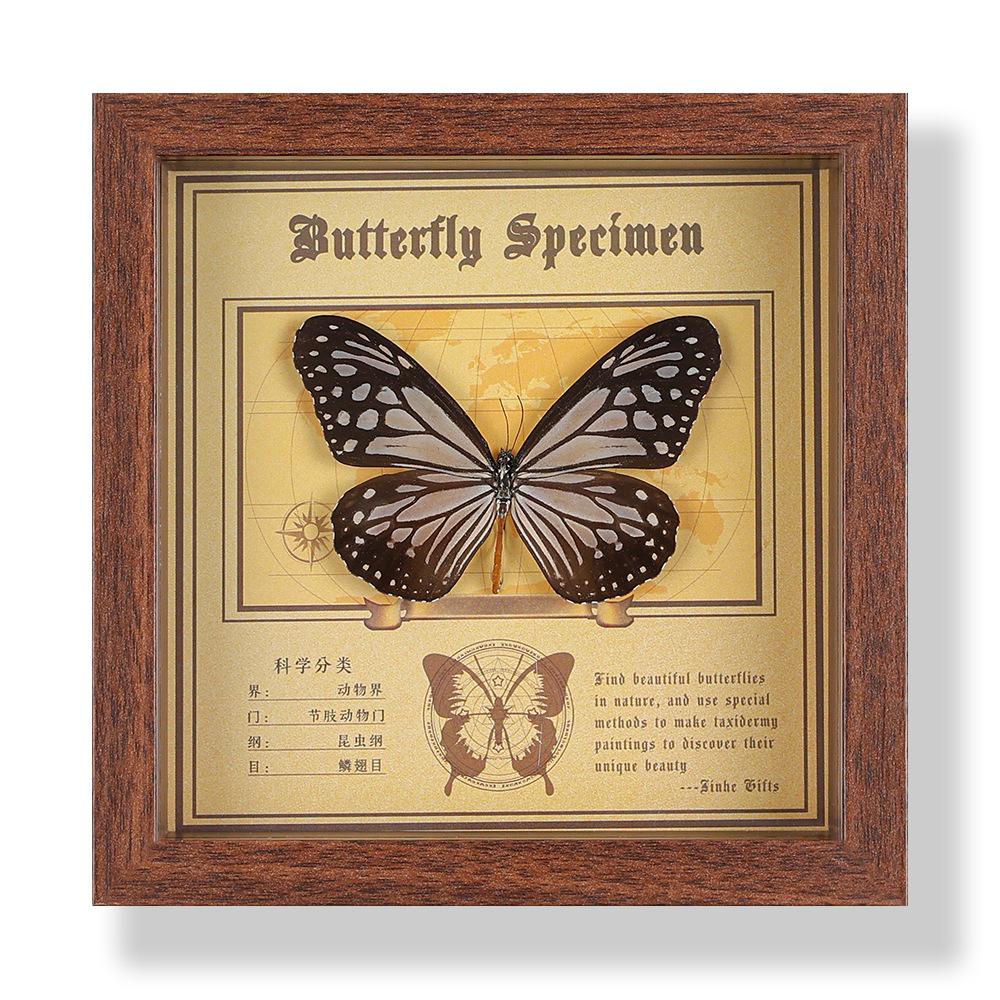 Real butterfly specimen photo frame, decorative painting, 3D ornament, handmade DIY, birthday gift, insect specimen