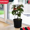 Pot For Growing Tomatoes With A Ladder For The Balcony, Black, 30 Cm, Set Of 3