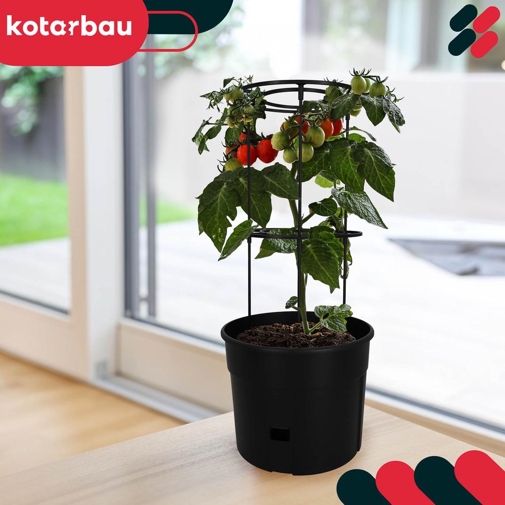 Pot For Growing Tomatoes With A Ladder For The Balcony, Black, 30 Cm, Set Of 3