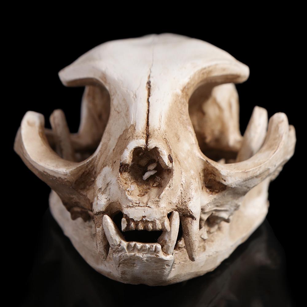 Scary Animal Skull Ornament Funny Cat Skull Statue Artificial Skull Head Halloween Decor Gifts