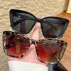 2Pcs Classic Fashion Cat Eye and Square Plastic Frame Women's Sunglasses Men's Daily Life Shade Glasses Accessories