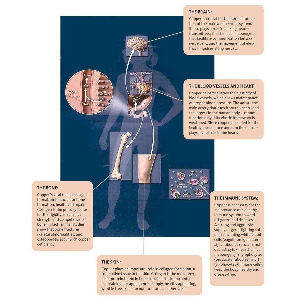 Copper 5 Liter Green Print Copper Water Cooler (Green Print Dispenser)