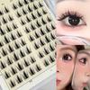 Eveno Noglu Natural Idol False Eyelashes Set