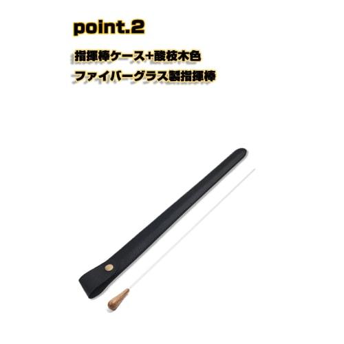 Conductor's Baton Case, Music Conductor's Baton Storage Cover, Holds 38cm Baton, Acidwood Color