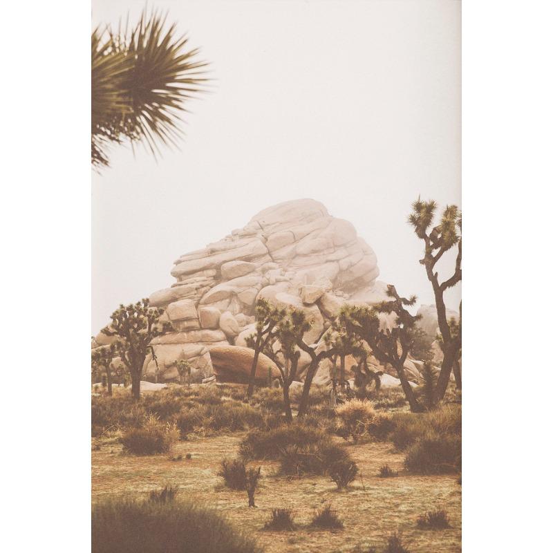 Arizona Desert Scenery Canyon Cactus Posters and Prints Canvas Printing Wall Art Picture for Living Room Home Decoration