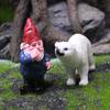 And Dwarf Polar Bear Ornament Garden Micro Landscape Decoration Suitable For Kid