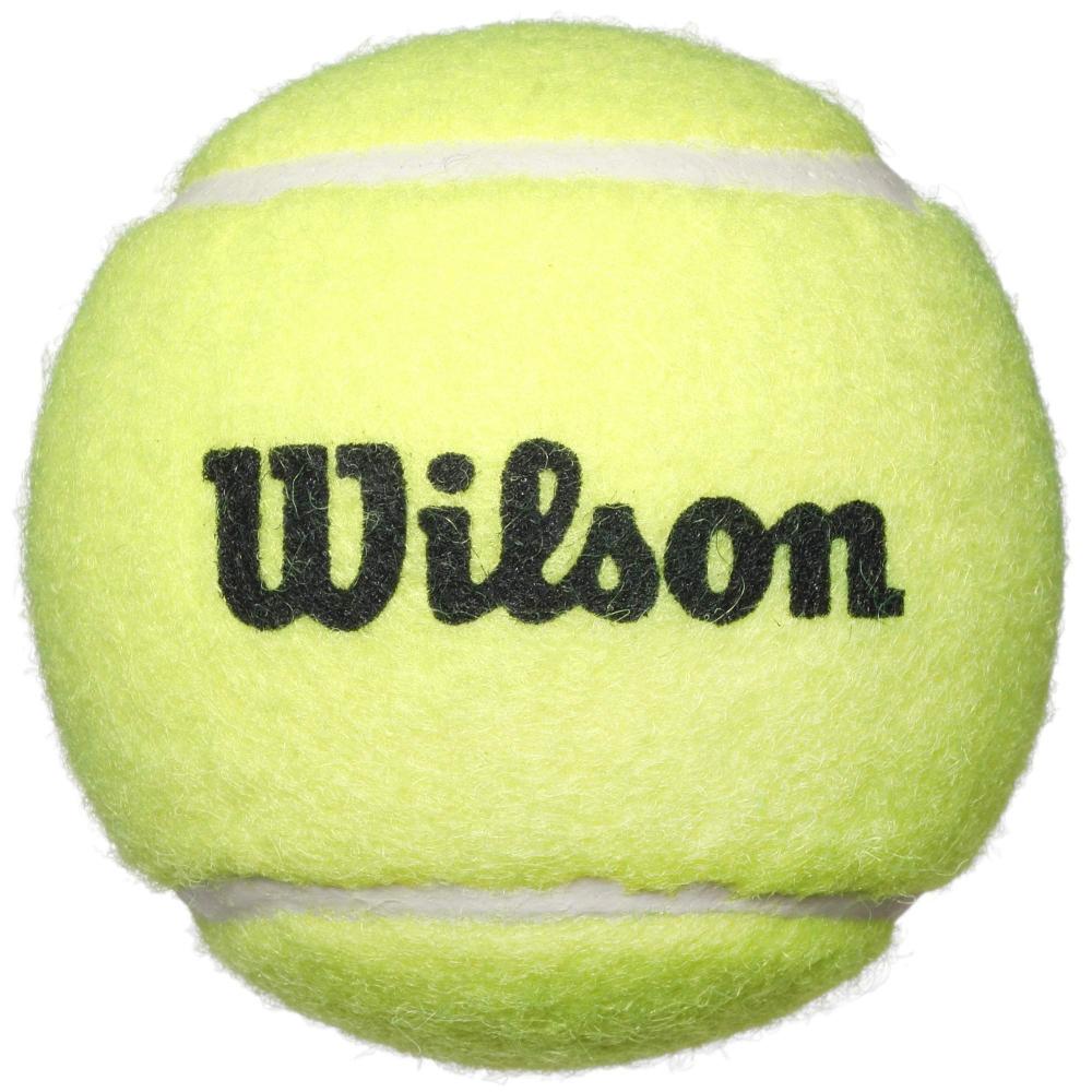 Set rachete de tenis Wilson, 2 rachete Bear + 2 mingi, 21 inchi (pentru copii mici până la elevii de școală primară)