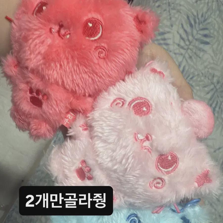 

Ncitywish Color Popup Store Rikukuri Pink Red