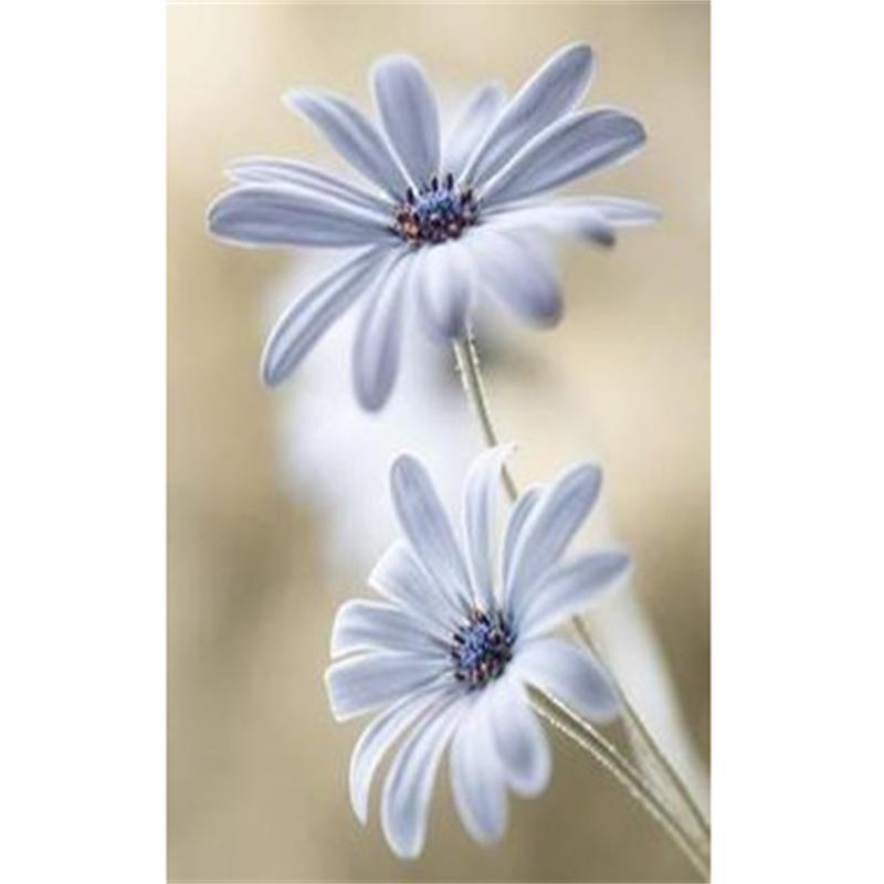 

5D DIY Алмазная картина Тигр под голубым небом Алмазная вышивка Набор для вышивки крестом Полный горный хрусталь Мозаика Домашний декор Square 20x30cm