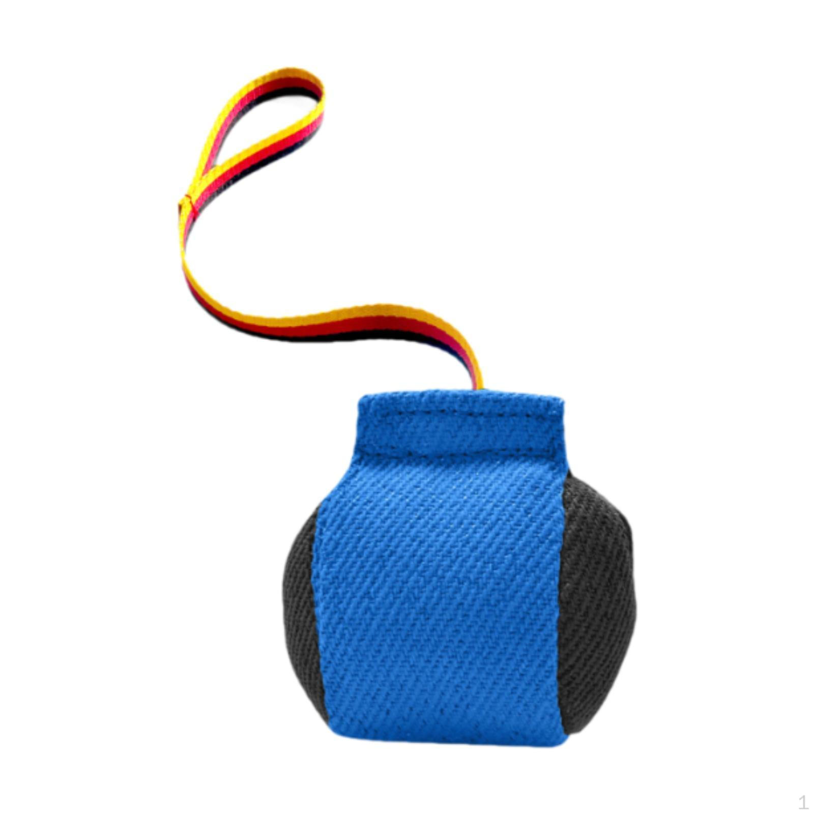 

Dog Tug Toy for Interactive Play, Suitable Puppy and Small Medium Dogs Blue Black