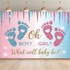 2D Sparkle Gender Reveal Backdrop Baby Footprints "What Will Baby Be?" Studio Photography Background