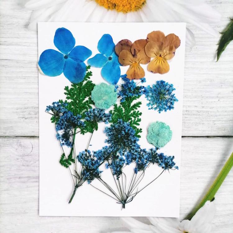 Pressed Dried Flower DIY Kit: Bookmark, Resin, & Phone Case Embossing Materials