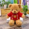 Teddy Bear Doll Plush Toy Children's Pillow Rag Doll Night Market Gift Gifts Gifts Floor Stand