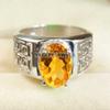 Citrine Oval Cut Gemstone With 925 Sterling Silver Ring For Men's #A952 JL375669223809